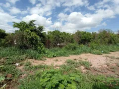 Terreno / Lote / Condomínio à venda, 4980m² no Uruguai, Teresina - Foto 3