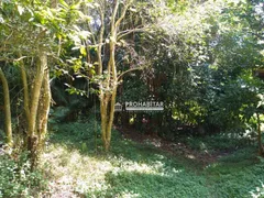 Fazenda / Sítio / Chácara com 2 Quartos à venda, 361m² no Jardim Alpino, São Paulo - Foto 7