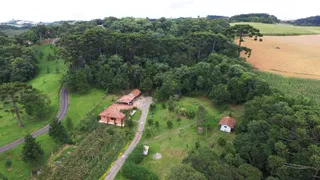 Fazenda / Sítio / Chácara com 3 Quartos à venda, 10000m² no Vila Dom Pedro II, Campo Largo - Foto 6