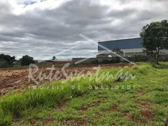 Terreno / Lote Comercial à venda no Parque das Industrias, Paulínia - Foto 2