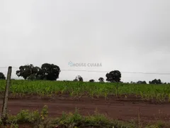 Fazenda / Sítio / Chácara com 3 Quartos à venda, 7500m² no Centro, Jangada - Foto 5