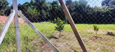 Fazenda / Sítio / Chácara com 2 Quartos à venda, 140m² no Saltinho, Elias Fausto - Foto 7