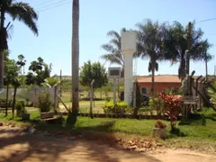 Fazenda / Sítio / Chácara com 4 Quartos à venda, 5972m² no Centro Engenheiro Schmitt, São José do Rio Preto - Foto 23