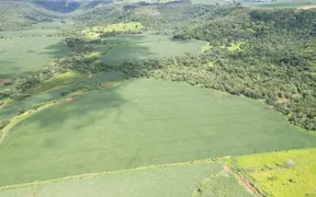Fazenda / Sítio / Chácara com 7 Quartos à venda, 200m² no Area Rural de Rio Verde, Rio Verde - Foto 7