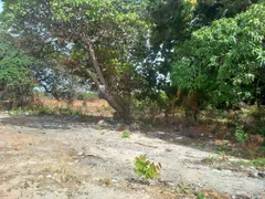 Terreno / Lote / Condomínio à venda, 300m² no Patacas, Aquiraz - Foto 4