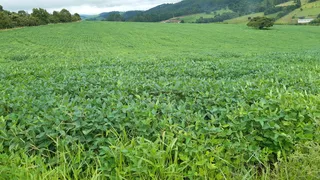 Fazenda / Sítio / Chácara à venda, 2137828m² no Zona Rural, Turvolândia - Foto 15