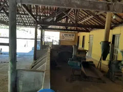 Fazenda / Sítio / Chácara com 4 Quartos à venda, 1670000m² no Zona Rural, Cachoeira da Prata - Foto 3