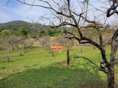 Fazenda / Sítio / Chácara com 4 Quartos à venda, 6050m² no MOMBUCA, Itatiba - Foto 40
