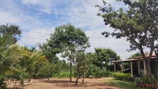 Fazenda / Sítio / Chácara com 3 Quartos à venda, 20000m² no Setor Sul, Brasília - Foto 18