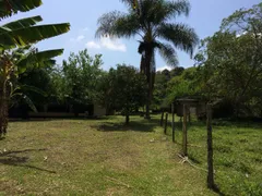 Fazenda / Sítio / Chácara com 2 Quartos à venda, 169400m² no Centro, Piracaia - Foto 8