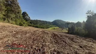 Terreno / Lote / Condomínio à venda, 50000m² no Linha Brasil, Nova Petrópolis - Foto 30