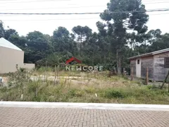 Terreno / Lote / Condomínio à venda, 128m² no São Lucas, Canela - Foto 14