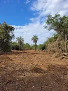 Terreno / Lote Comercial à venda, 20000m² no Zona Rural, Baldim - Foto 13