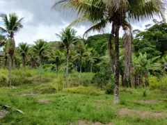 Fazenda / Sítio / Chácara com 4 Quartos à venda, 48000000m² no Rio da Areia Bacaxa, Saquarema - Foto 10