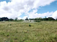 Terreno / Lote / Condomínio à venda no Estancia Grande, Viamão - Foto 15