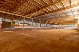 Galpão / Depósito / Armazém para alugar, 3400m² no Distrito Industrial, São Luís - Foto 3