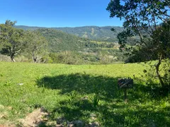 Terreno / Lote / Condomínio à venda, 2000m² no Morrinhos, Garopaba - Foto 2