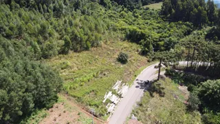 Fazenda / Sítio / Chácara com 1 Quarto à venda, 40000m² no Linha Avila, Gramado - Foto 1