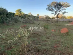 Fazenda / Sítio / Chácara à venda, 5000m² no Panorama, Uberlândia - Foto 7