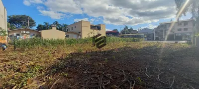 Terreno / Lote / Condomínio à venda, 402m² no Floresta, Dois Irmãos - Foto 5