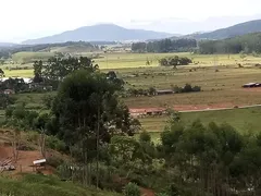 Fazenda / Sítio / Chácara à venda, 6560m² no Timbe, Tijucas - Foto 14