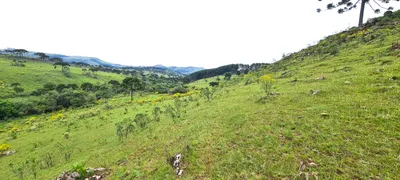 Fazenda / Sítio / Chácara à venda, 150000m² no Centro, São Joaquim - Foto 33