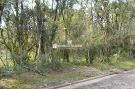 Terreno / Lote / Condomínio à venda, 420m² no Carniel, Gramado - Foto 2