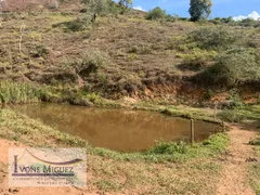 Terreno / Lote / Condomínio à venda, 121000m² no , Paraíba do Sul - Foto 2