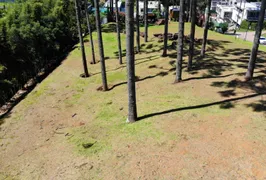 Terreno / Lote / Condomínio à venda, 704m² no Santa Felicidade, Curitiba - Foto 7