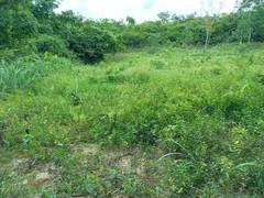 Terreno / Lote / Condomínio à venda, 20000m² no Serra do Cipó, Santana do Riacho - Foto 4