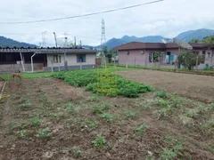 Fazenda / Sítio / Chácara com 3 Quartos à venda, 24750m² no Araponguinhas, Timbó - Foto 15