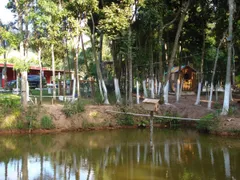 Fazenda / Sítio / Chácara com 3 Quartos à venda, 24311m² no Botujuru, Mogi das Cruzes - Foto 6
