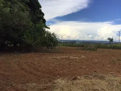 Fazenda / Sítio / Chácara com 3 Quartos à venda, 9500m² no Area Rural de Ceilandia, Brasília - Foto 27