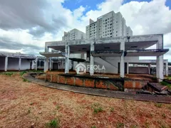 Casa Comercial com 4 Quartos para alugar, 830m² no Vila Santa Catarina, Americana - Foto 9