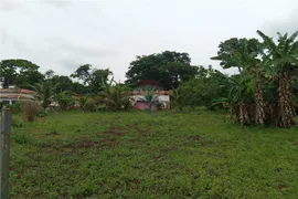 Fazenda / Sítio / Chácara com 1 Quarto à venda, 2000m² no Paraíso da Cachoeira, Mogi Mirim - Foto 15