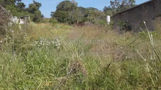 Terreno / Lote Comercial à venda, 2000m² no Vila Toninho, São José do Rio Preto - Foto 7