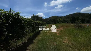 Fazenda / Sítio / Chácara com 12 Quartos à venda, 2000m² no MOMBUCA, Itatiba - Foto 53