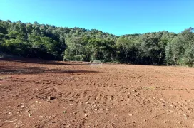 Fazenda / Sítio / Chácara à venda, 30000m² no Zona Rural, Pato Branco - Foto 4