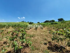 Terreno / Lote / Condomínio à venda, 174000m² no Macuco, Valinhos - Foto 11