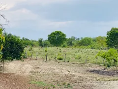 Fazenda / Sítio / Chácara com 4 Quartos à venda, 144000m² no Zona Rural, Faina - Foto 16