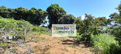Fazenda / Sítio / Chácara com 4 Quartos à venda, 600m² no , Joanópolis - Foto 21