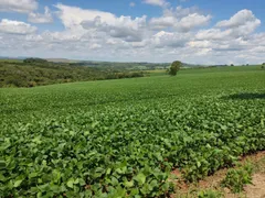 Fazenda / Sítio / Chácara com 3 Quartos à venda, 87m² no Area Rural de Capao Bonito, Capão Bonito - Foto 2