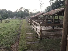 Fazenda / Sítio / Chácara com 6 Quartos à venda, 15000m² no Vale Da Figueira, Maricá - Foto 8
