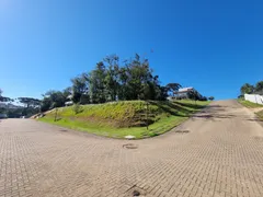 Terreno / Lote / Condomínio à venda, 1000m² no Jardim Eldorado, Caxias do Sul - Foto 9