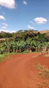 Fazenda / Sítio / Chácara com 3 Quartos à venda, 72600m² no Lerroville, Londrina - Foto 4