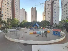 Apartamento com 2 Quartos à venda, 50m² no Pedra Branca, São Paulo - Foto 14