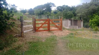 Fazenda / Sítio / Chácara com 5 Quartos à venda, 400m² no Vila Esmeralda, Campinas - Foto 15