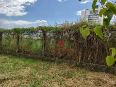 Terreno / Lote Comercial à venda, 1387m² no Passa Vinte, Palhoça - Foto 17