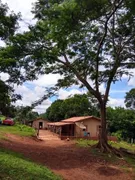 Fazenda / Sítio / Chácara com 3 Quartos à venda, 67200m² no Zona Rural, Petrolina de Goiás - Foto 21