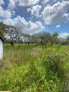 Terreno / Lote / Condomínio à venda, 55265m² no Lagoa do Banana, Caucaia - Foto 3
